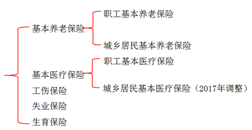 初级会计
